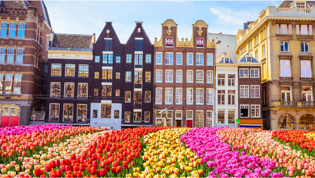 Blomstercruise på kanalar i Nederland og Belgia